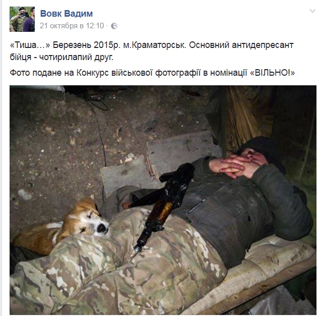 Чим займаються на Донбасі найкращі друзі бійців АТО - 10 - фото 1