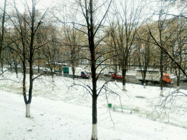 У Харкові випав сніг (ФОТО) - фото 1