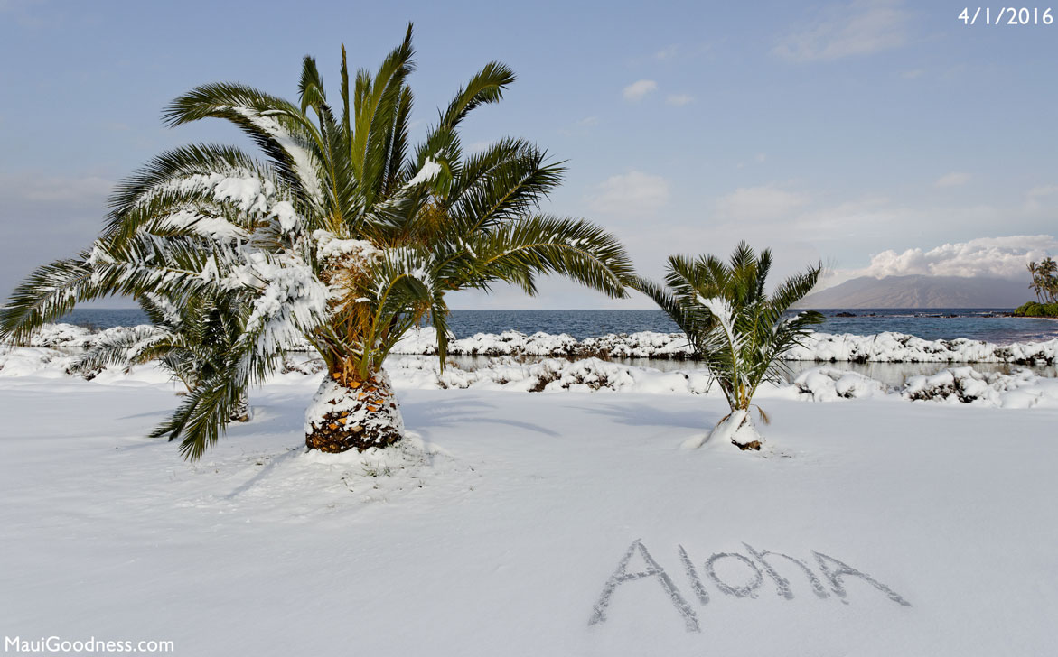 Гаваї засипало метровим шаром снігу (ФОТО) - фото 2