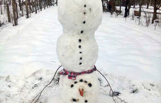Закарпатці та угорці змагаються, хто зліпить найкреативнішого сніговика - фото 5