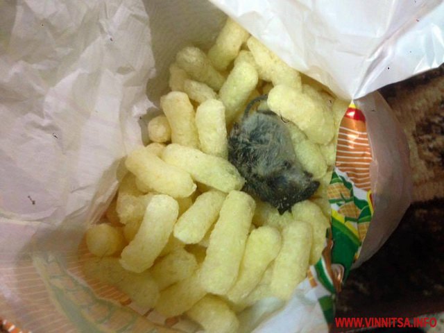 На Вінниччині дитина знайшла пухнастий "подарунок" в кукурудзяних паличках з Кривого Рогу - фото 2