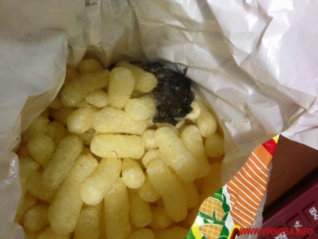 На Вінниччині дитина знайшла пухнастий "подарунок" в кукурудзяних паличках з Кривого Рогу - фото 1