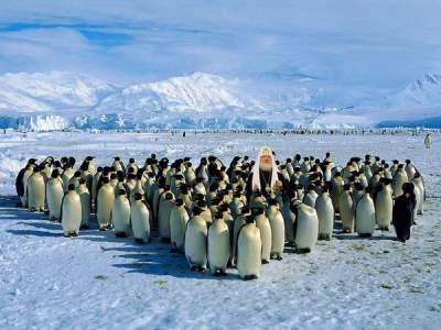 Пінгвіни, яхта і гріхи: ТОП-10 приколів про патріарха Гундяєва - фото 8