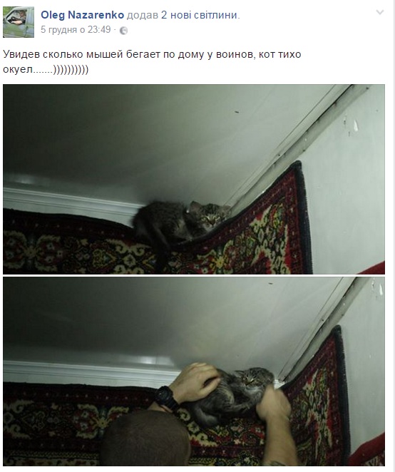 За що котам в АТО треба поставити пам'ятник-13 - фото 5 За що котам в АТО треба поставити пам'ятник-13 - фото 5