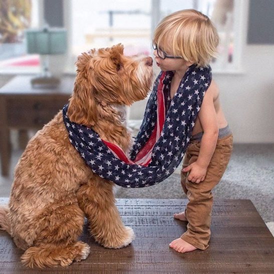 Як усиновлений хлопчик і пес з притулку стали кращими друзями - фото 1