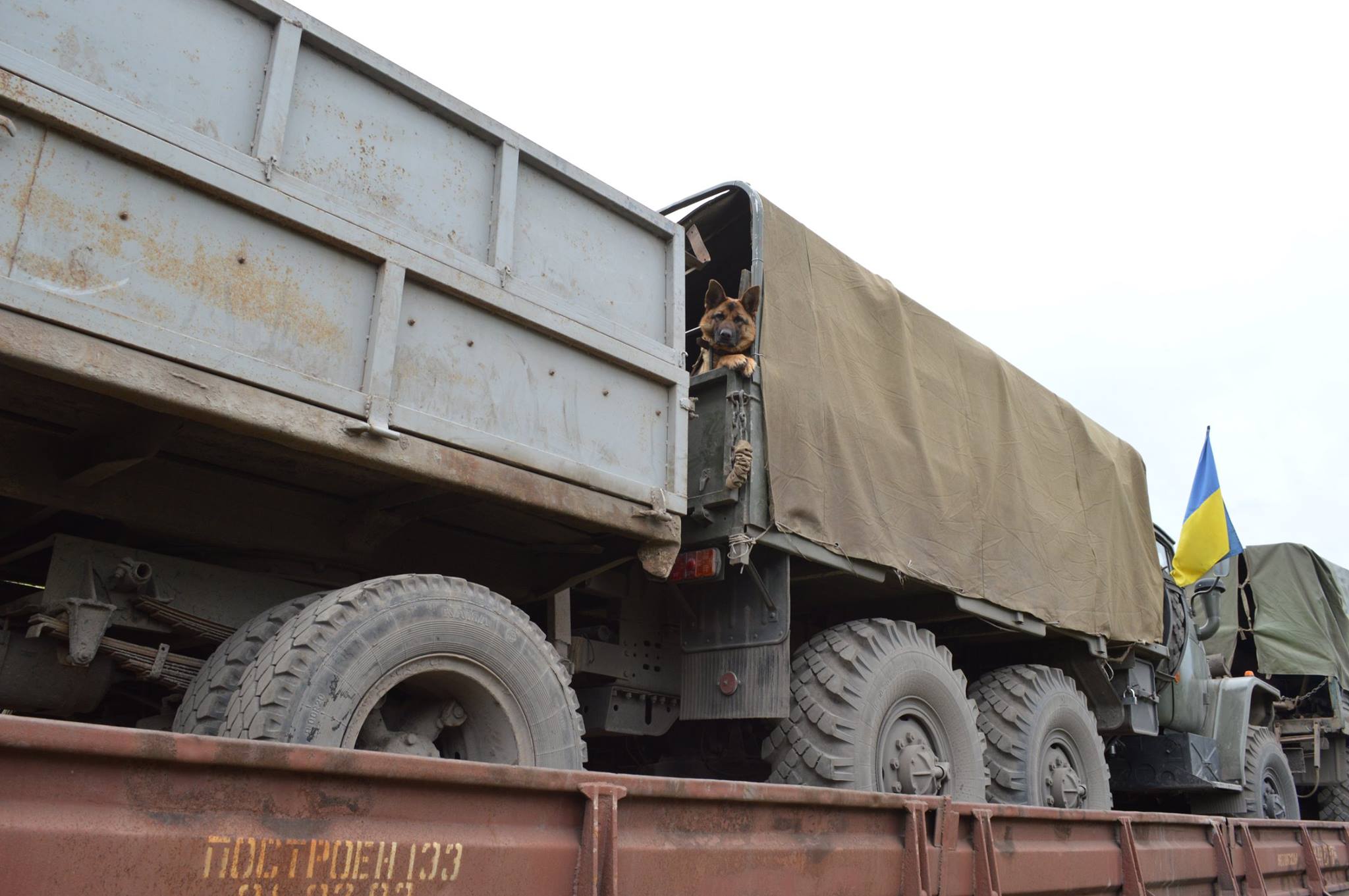Чим займаються на Донбасі найкращі друзі бійців АТО - 10 - фото 14 Чим займаються на Донбасі найкращі друзі бійців АТО - 10 - фото 14