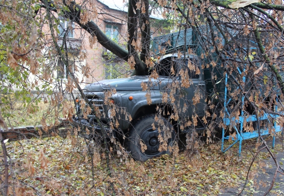 У Вінниці на зупинку громадського транспорту і припарковану машину впало дерево - фото 1