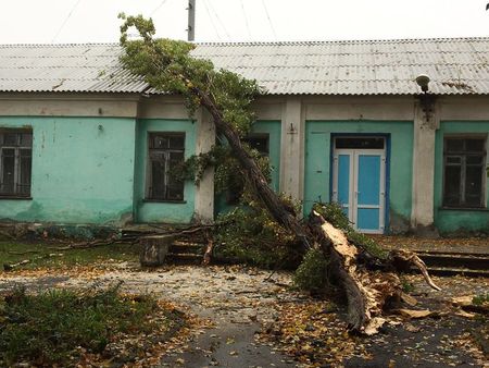 Негода у Донецьку: повалені дерева та зруйновані покрівлі (ФОТО) - фото 4