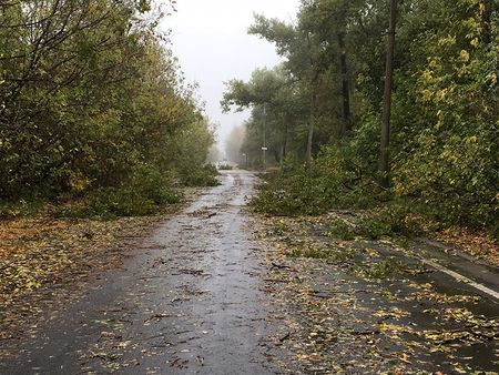 Негода у Донецьку: повалені дерева та зруйновані покрівлі (ФОТО) - фото 1