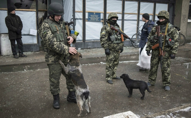 Чим займаються на Донбасі найкращі друзі бійців АТО - 11 - фото 1