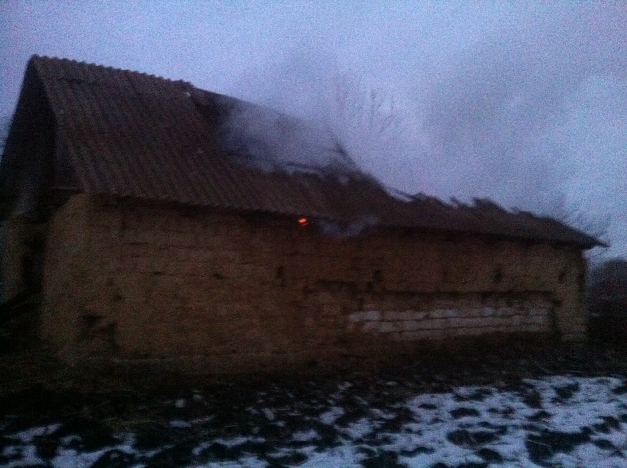 На Вінниччині в сільському дворі згоріли хата, хлів, корови і свині - фото 5