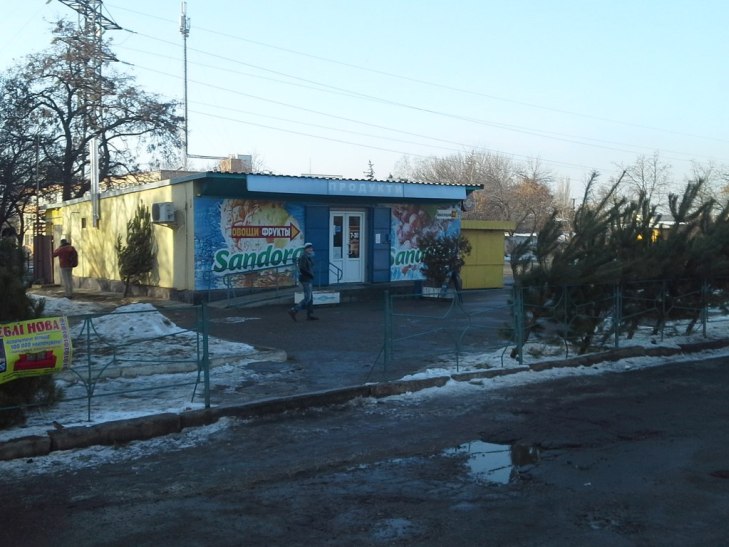 У Миколаєві купи сосен ховають під вікнами житлових будинків