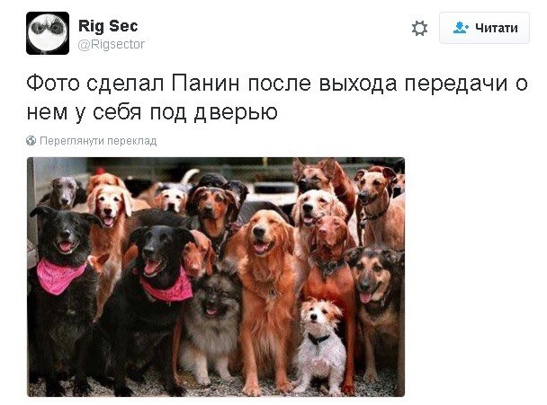 Панін та собака: соцмережі жорстоко тролять вподобання улюбленця Путіна - фото 3