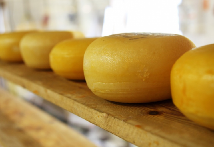 Сыр может снижать либидо