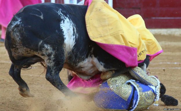 В Іспанії внаслідок традиційних забігів з биками загинуло сім осіб - фото 2