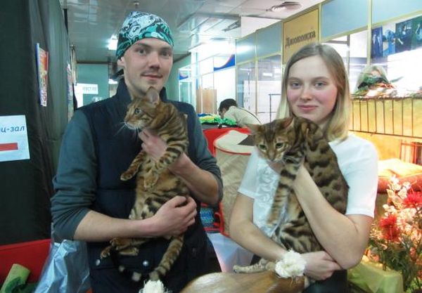 У Вінниці триває міжнародна виставка котів  - фото 1