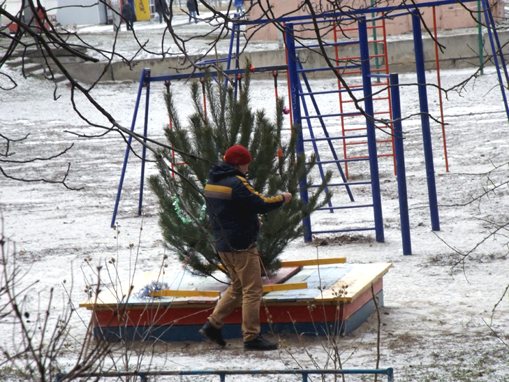 У Запоріжжі на дитячому майданчику "виросла" прикрашена новорічна ялинка - фото 1