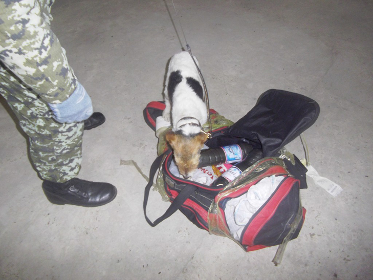 Прикордонна собака знайшла в узбека два кілограми наркотичної  "жуйки" - фото 1