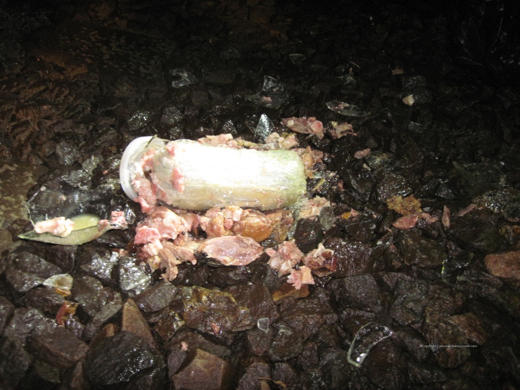 Прикордонна собака "спрацювала" на м’ясні консерви у сміттєвому баку - фото 1
