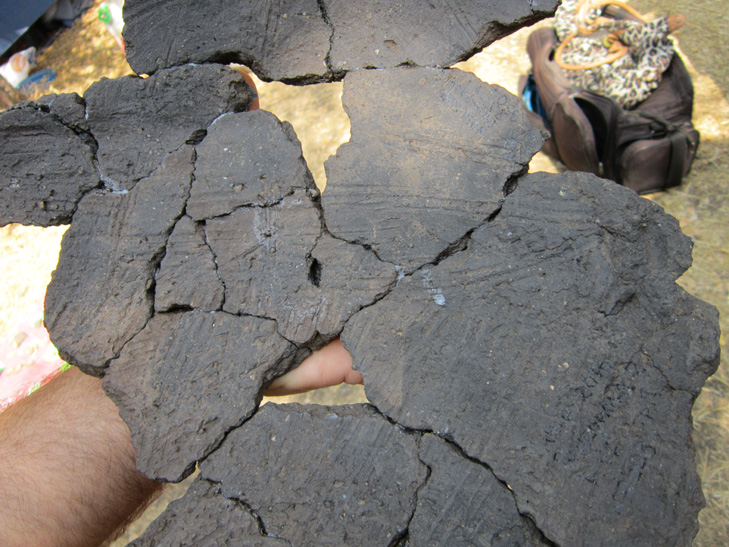 На Хортиці викопали велетня з чоловічими та жіночими рисами - фото 9