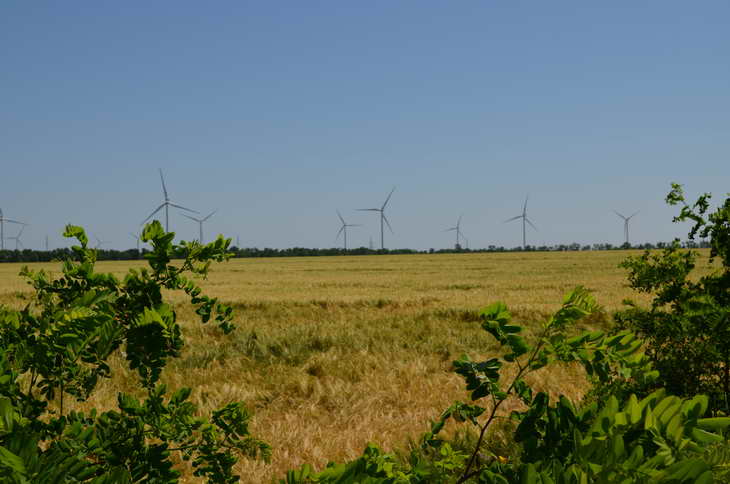 На території Запорізької області працює найбільша в країні та п’ята за потужністю в Європі вітрова електростанція - фото 1