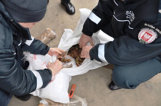 У Польщі затримали 1,5 тонни контрабандного українського бурштину - фото 3