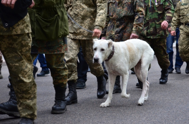 На марш захисників у Дніпрпетропетровську вийшли "бойові мутанти" і білий пес - фото 3