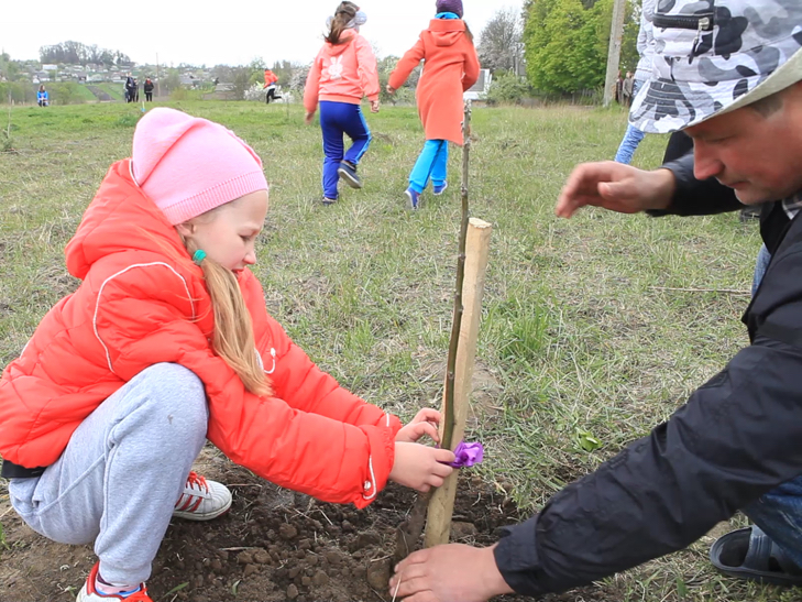 У Всесвітній день Землі школярі Шепетівщини посадили горіховий сад - фото 1