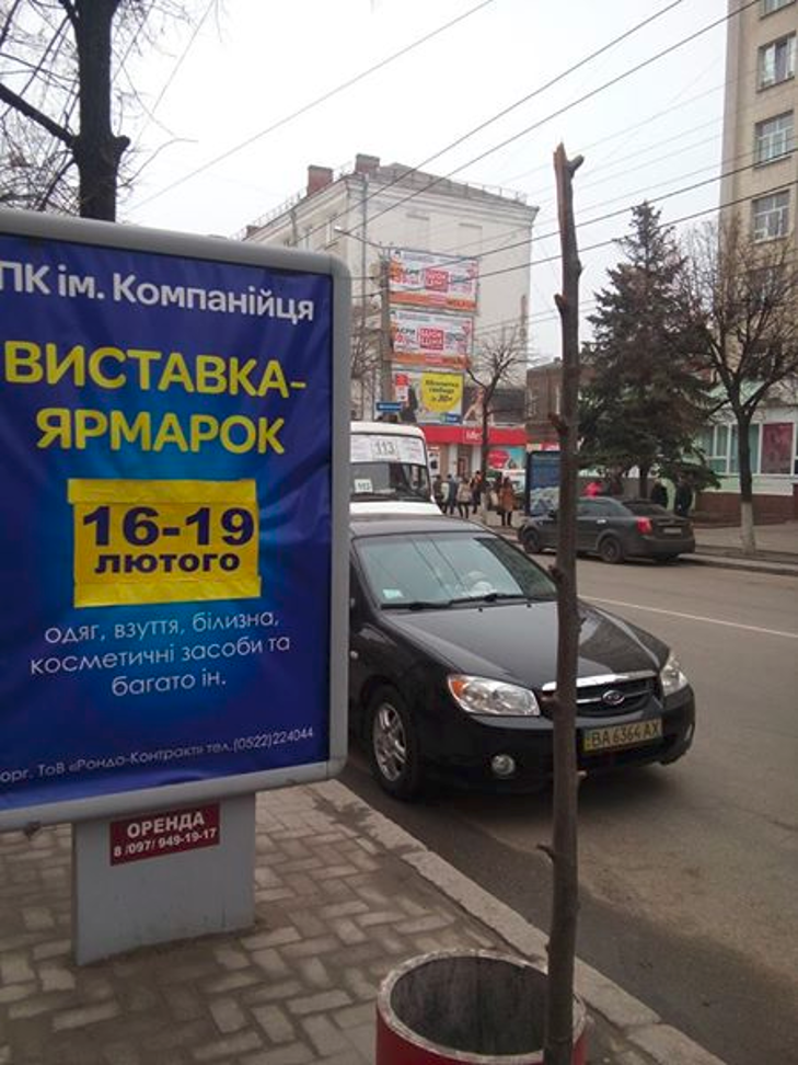 У центрі Кіровограда перед вікнами екологічної інспекції невідомі зламали молоді липи - фото 1