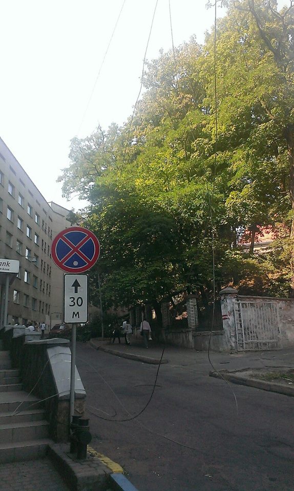 У Львові дерево впало на дорогу і заблокувало рух - фото 2