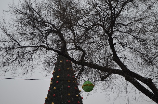 У місті відкрили одразу два головних новорічних дерева - фото 1
