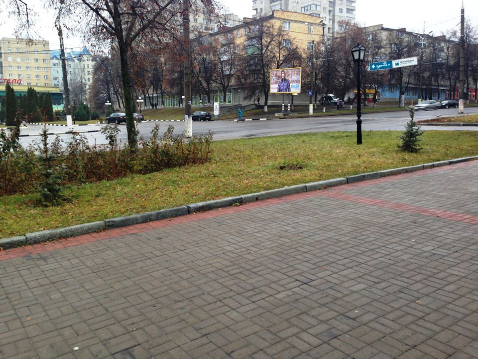В Сумах вже вдруге викрали блакитну ялинку поруч із пам’ятником Лушпі - фото 2