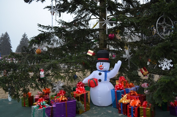 У місті відкрили одразу два головних новорічних дерева - фото 18