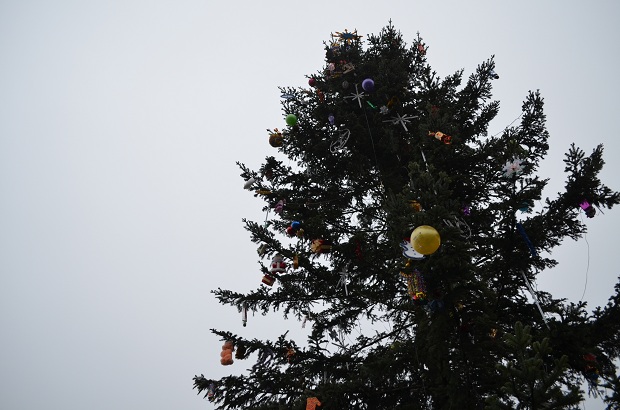 У місті відкрили одразу два головних новорічних дерева - фото 13