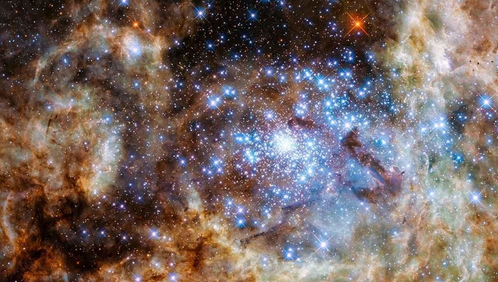 Хаббл виявив плеяду зірок-монстрів (ФОТО) - фото 1