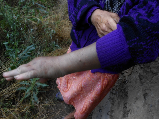 У Запорізькій області співробітники міліції жорстоко побили жінку (ФОТО, ВІДЕО) - фото 2