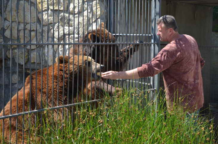 Єдина людина з минулого, що відвідує тигрів та ведмедів колишнього міністра доходів і зборів Олександра Клименка,- працівник, що раніше доглядав їх - фото 15