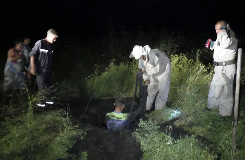 Запорізькі рятувальники витягли корову, яка впала у копанку - фото 1