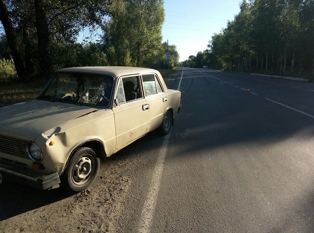 На Полтавщині автомобіль збив корову - фото 1