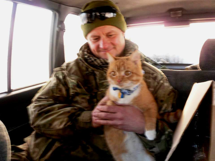 До Конотопу з АТО на "дембель" приїхав кіт-патріот - фото 1