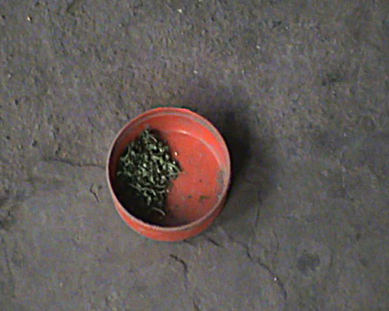 У Бурині спіймали хлопця с "зимовим запасом" марихуани - фото 2