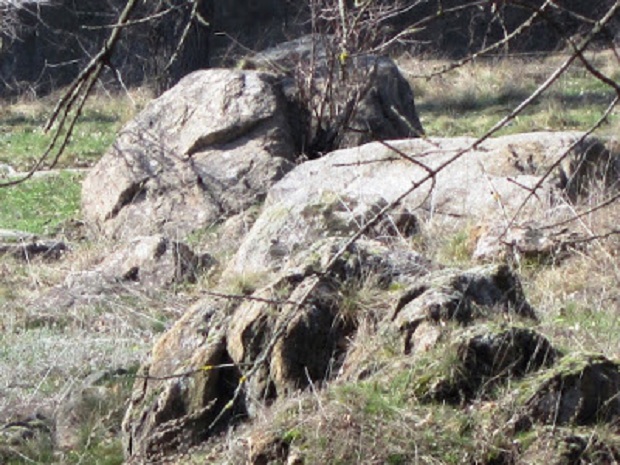Кам’яна глиба, що формою нагадує мамонта, могла мати культове призначення - фото 2