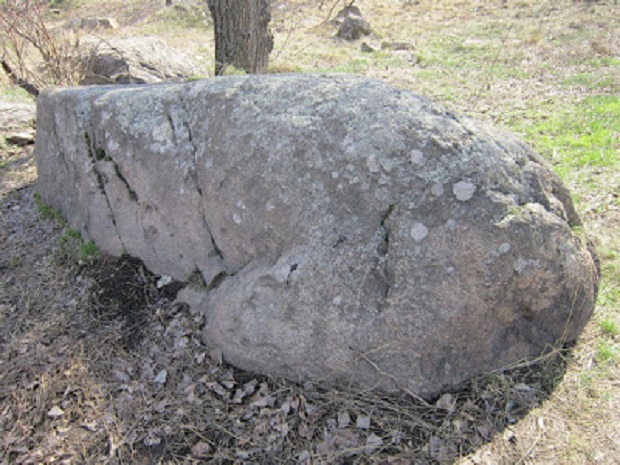 Кам’яна глиба, що формою нагадує мамонта, могла мати культове призначення - фото 3