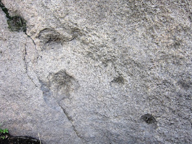Кам’яна глиба, що формою нагадує мамонта, могла мати культове призначення - фото 4
