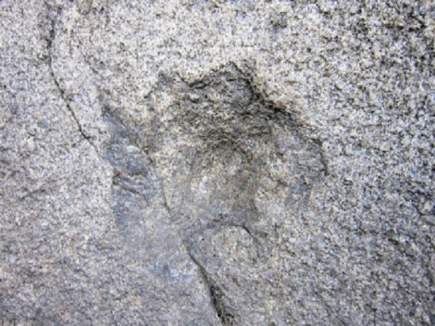 Кам’яна глиба, що формою нагадує мамонта, могла мати культове призначення - фото 5