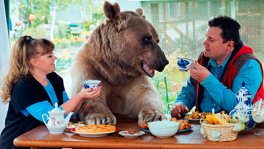 Як на Росії подружжя "всиновило" величезного ведмедя - фото 1