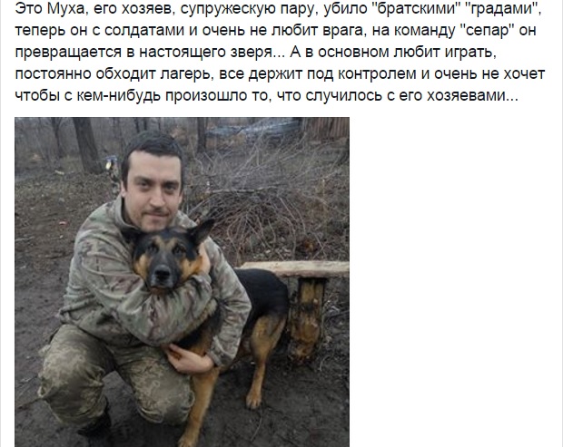 Чим займаються на Донбасі найкращі друзі бійців АТО - фото 1