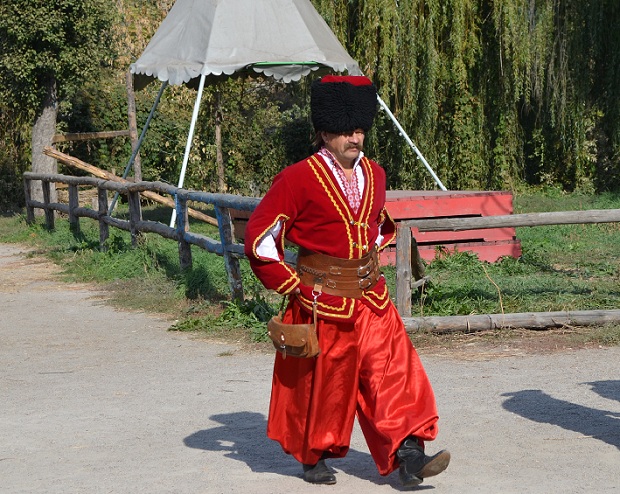 Під час свята врожаю запоріжцям показали, як приймаються рішення у козацькому колі - фото 5