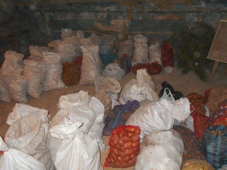 Кіровоградські волонтери на Водохреще перебрали п`ять тон овочів для атошників - фото 1