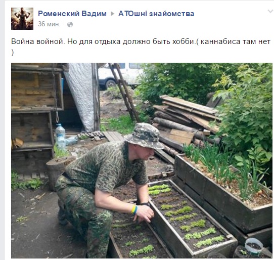 ФОТОФАКТ: Як бійці на Донбасі вирощують собі цибулю - фото 1 ФОТОФАКТ: Як бійці на Донбасі вирощують собі цибулю - фото 1